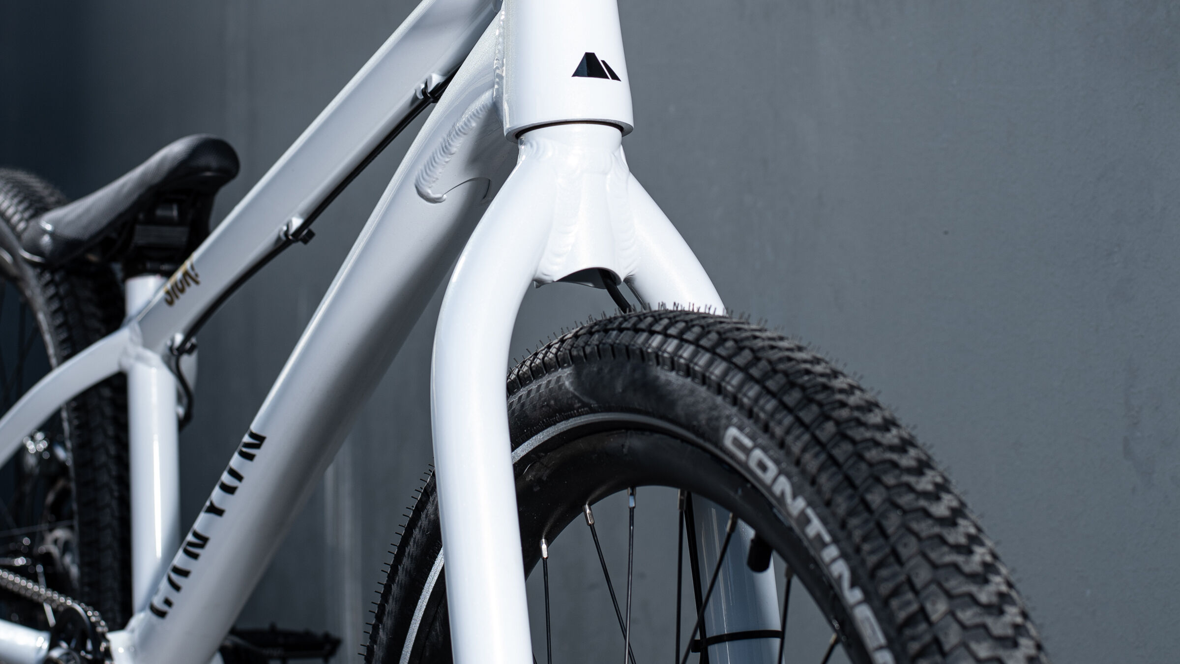 fabio wibmer trials bike