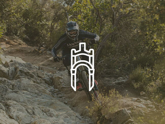 Canyon Strive CFR