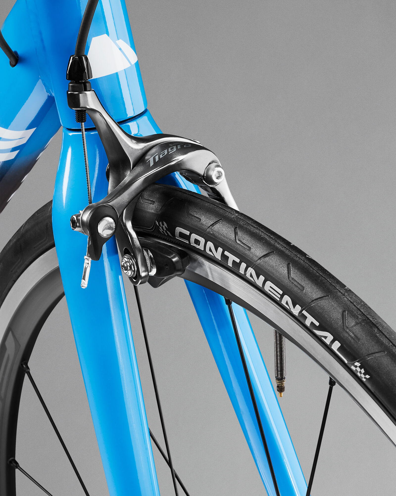 canyon endurace price