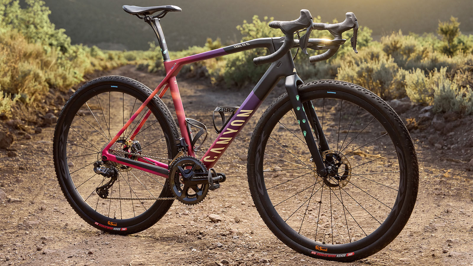 Peter Stetina s limited edition gravel kit CANYON IN