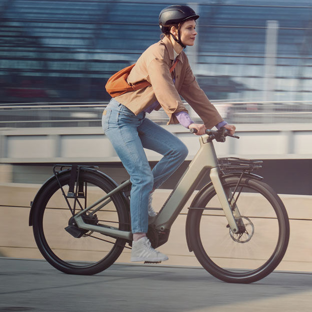 Urban cheap electric bicycle