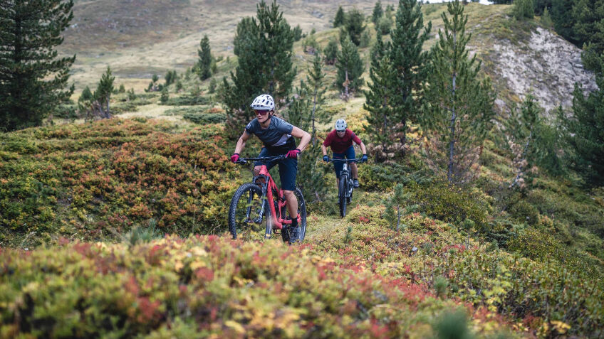 best marathon mountain bikes