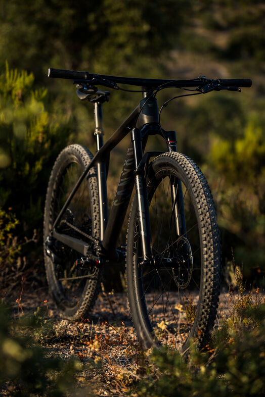 Hardtail MTB Buying Guide
