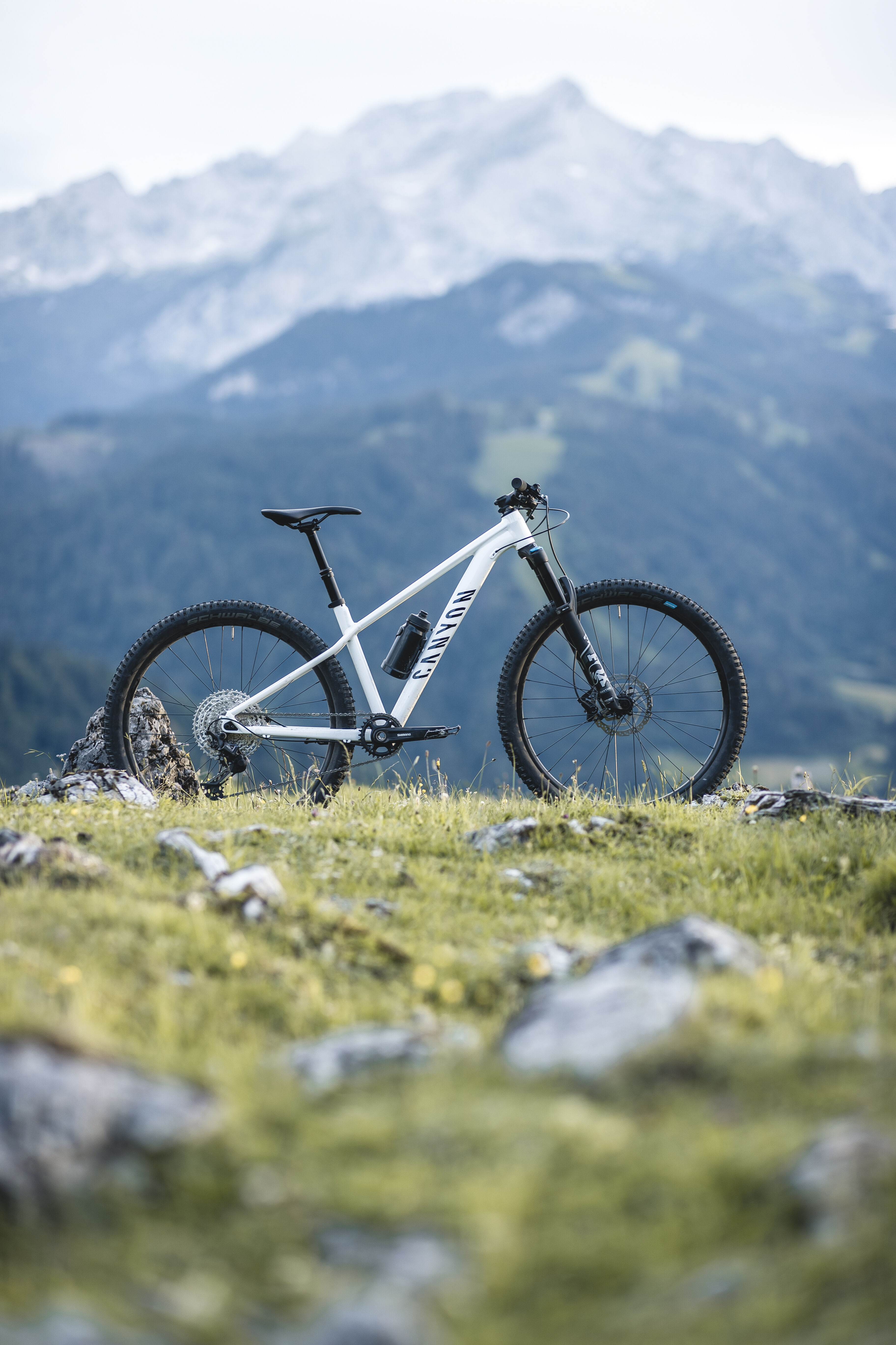 What is a store hardtail mountain bike