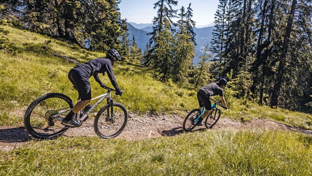 vergiftigen plannen een experiment doen Mountain bike or hybrid bike - Which is better? | CANYON AL