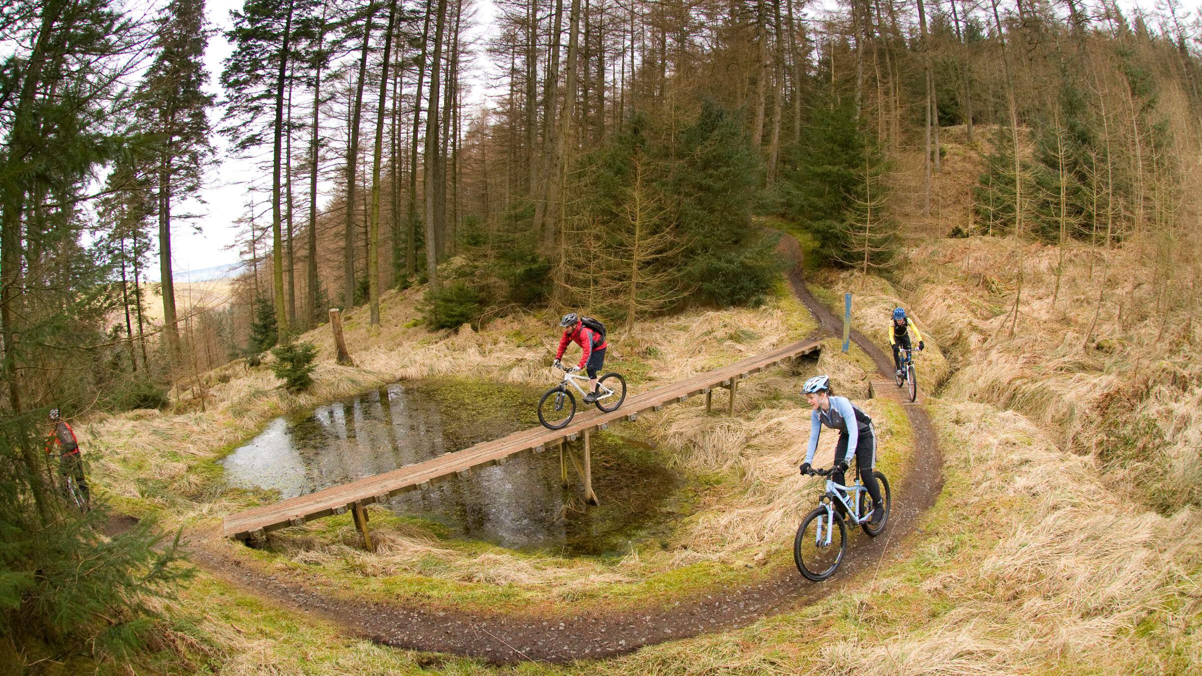 Kirroughtree mtb cheap