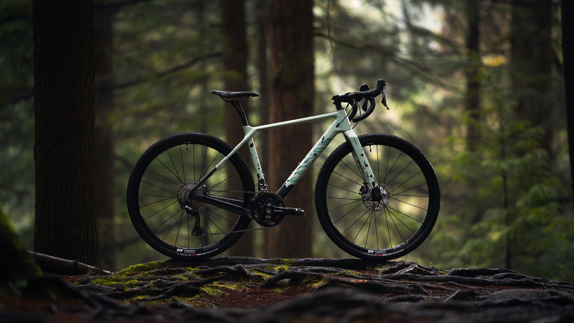 canyon grizl gravel bike