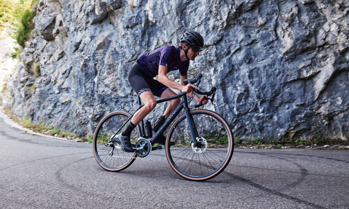 Canyon Endurace AL