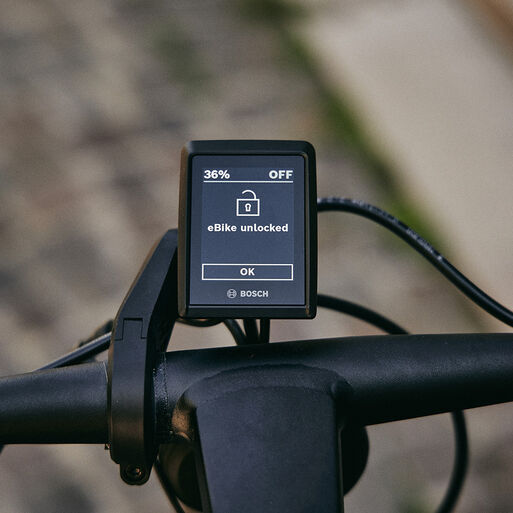 E-Bikes mit Bosch Display & Computer