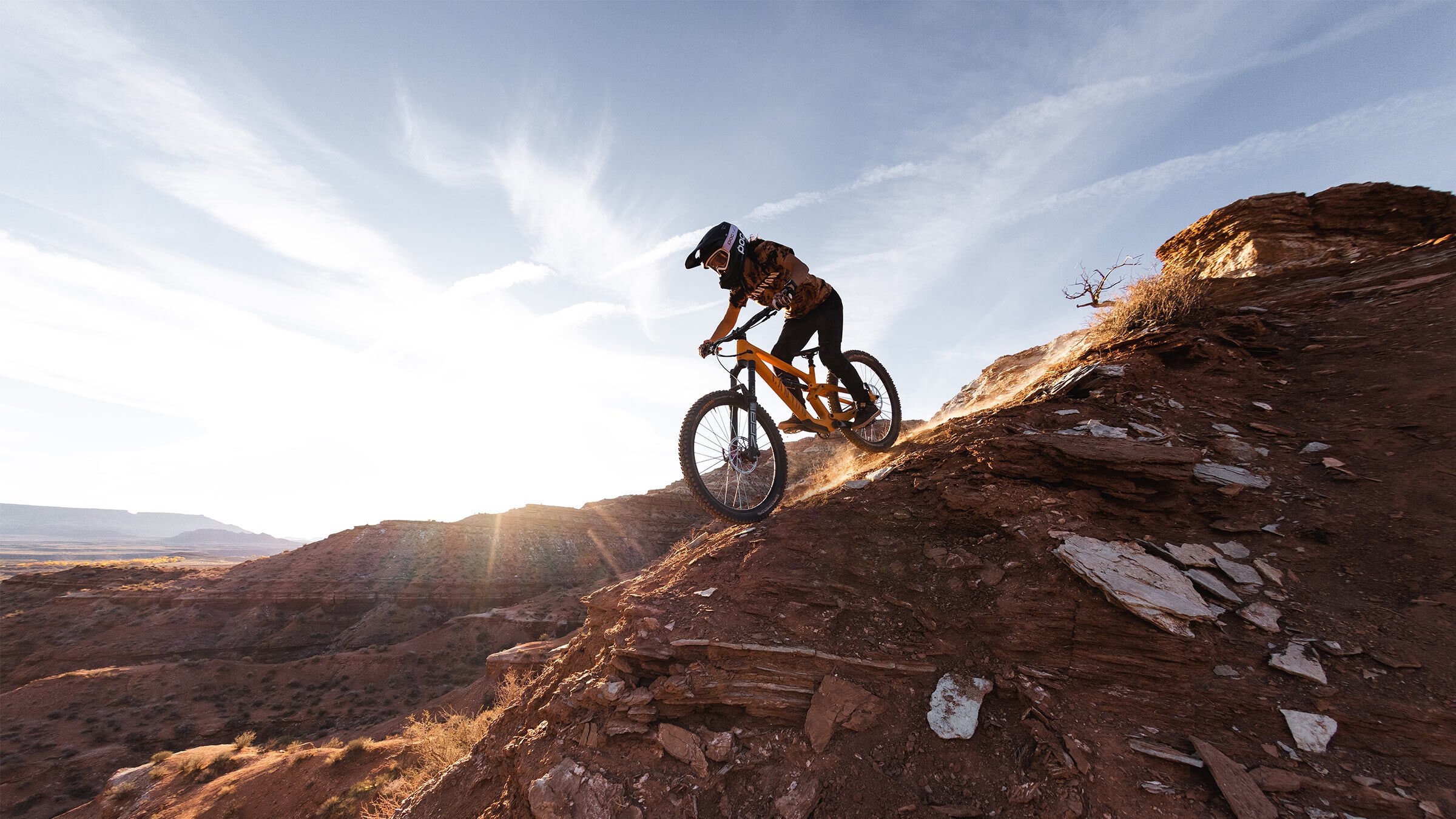 Freeride mountain on sale biking