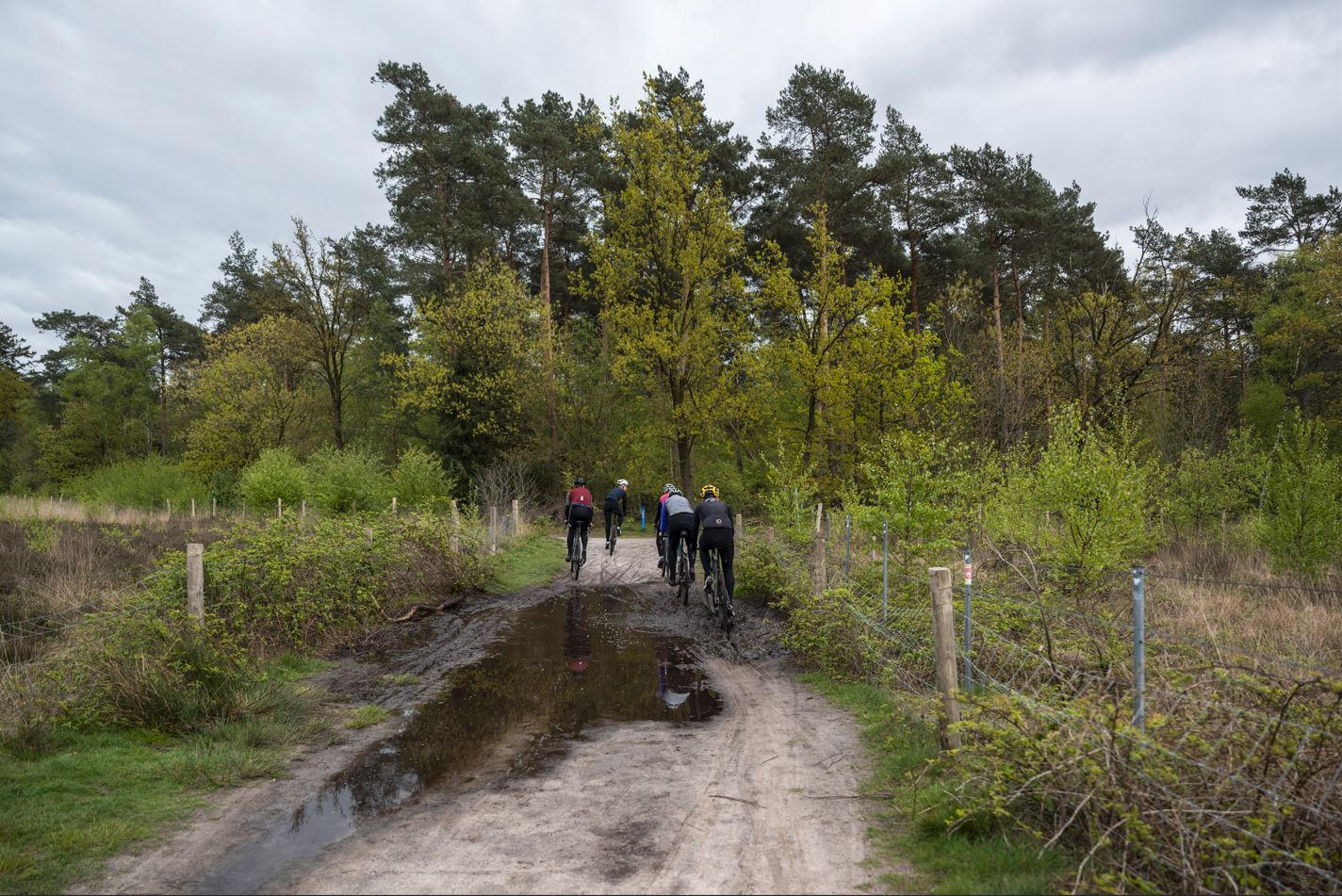 Vorausschauendes und aufmerksames Fahren hilft bei Regen