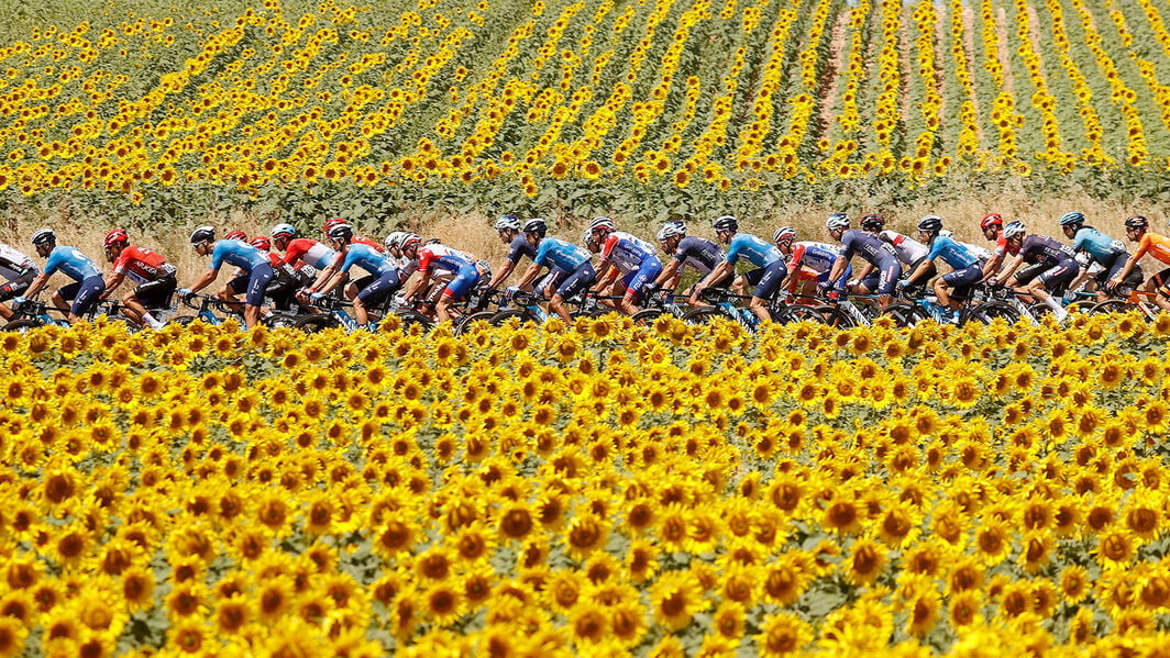 Prepárate para un emocionante viaje por los pintorescos paisajes del país mientras La Vuelta a España 2024 se desarrolla con emocionantes batallas ciclistas.