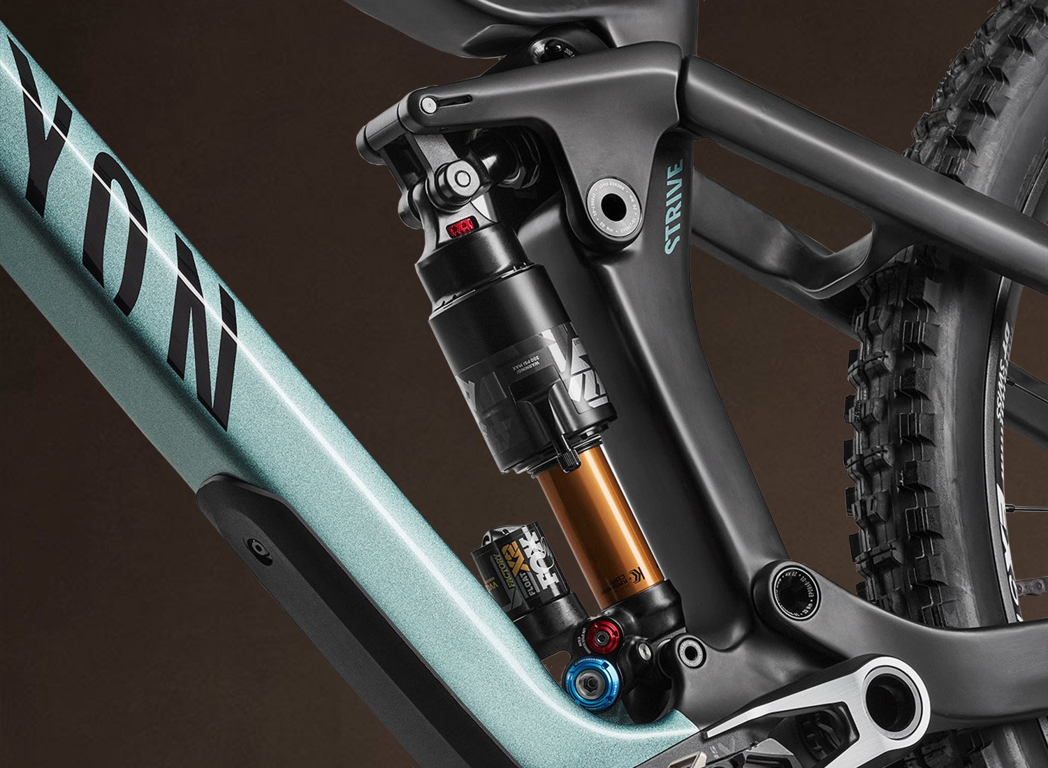 Canyon Strive Suspension Dynamic