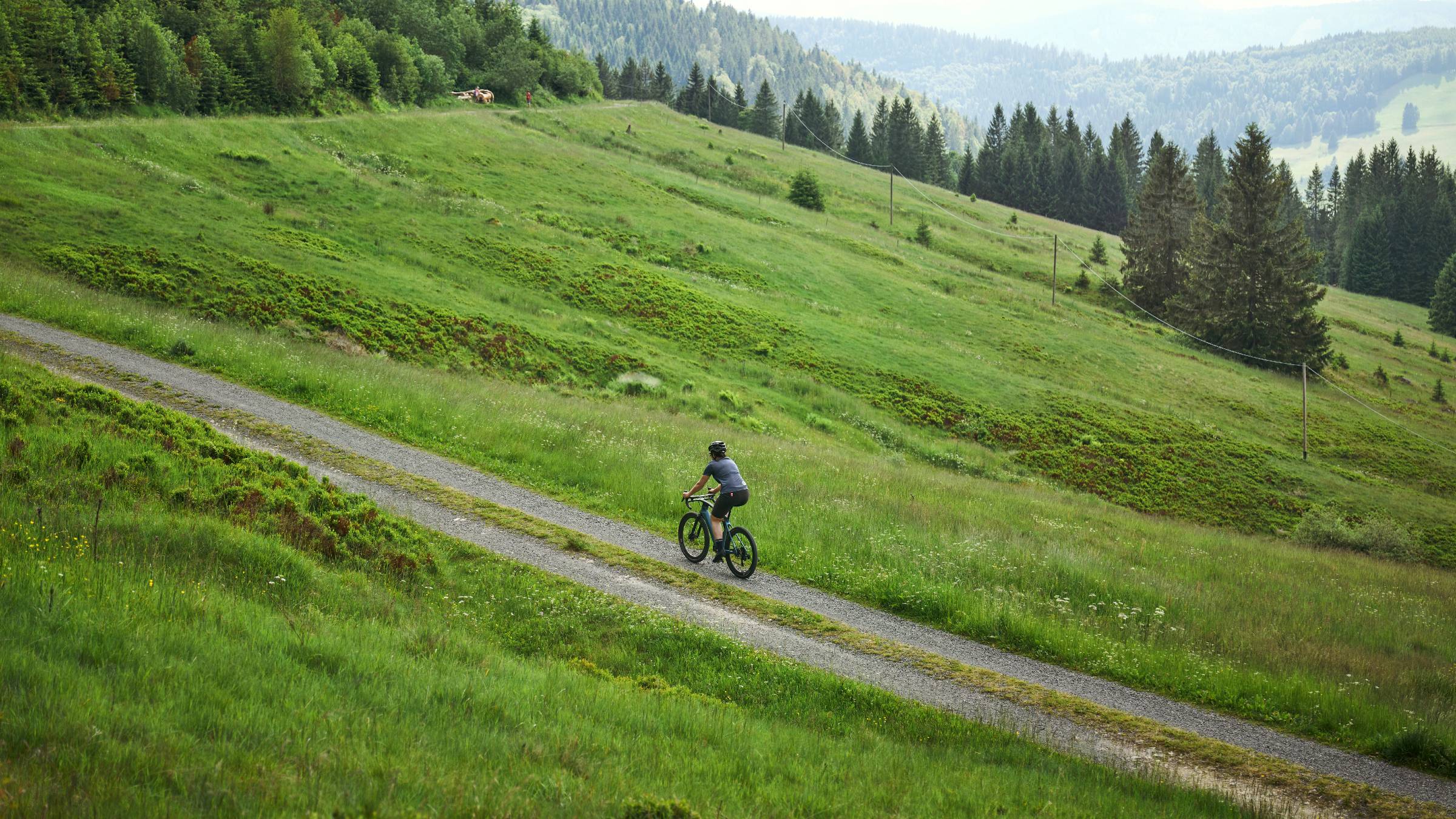 Die schönsten E-Bike Touren im Allgäu